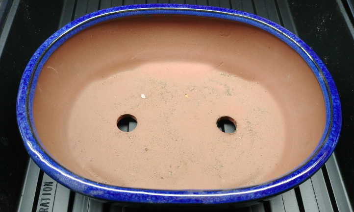 Cat grass container