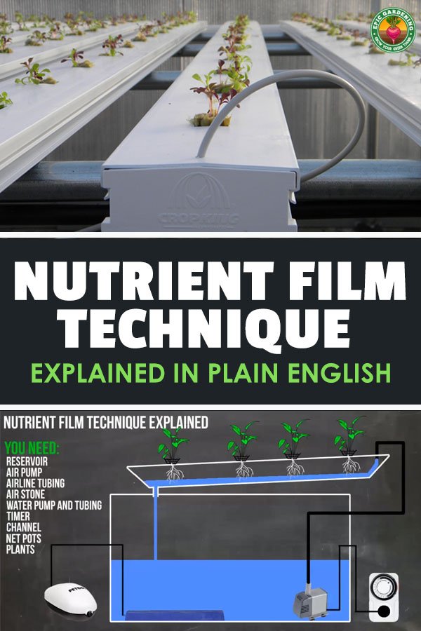 The nutrient film technique is a popular hydroponic system design. NFT systems provide a lot of flexibility that other methods do not. Learn more here.