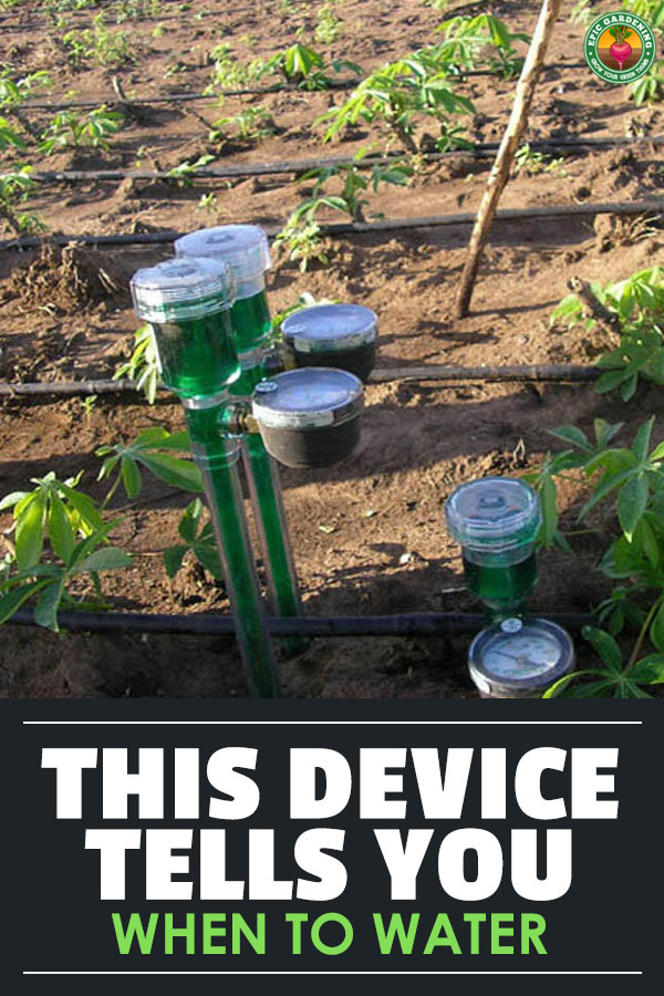 Always confused on when to water? These little devices will help!