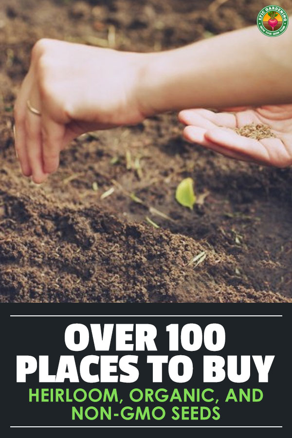 It's hard to know if you're buying non-gmo seeds, organic seeds, heirloom seeds, or a mix! Here's a list of 100+ reputable suppliers from around the USA.