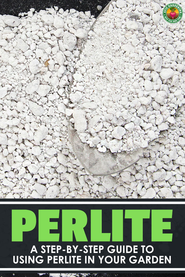 What are those little white specks in your potting mix? Perlite, that's what! Learn what perlite is and how to incorporate it into your gardening here.