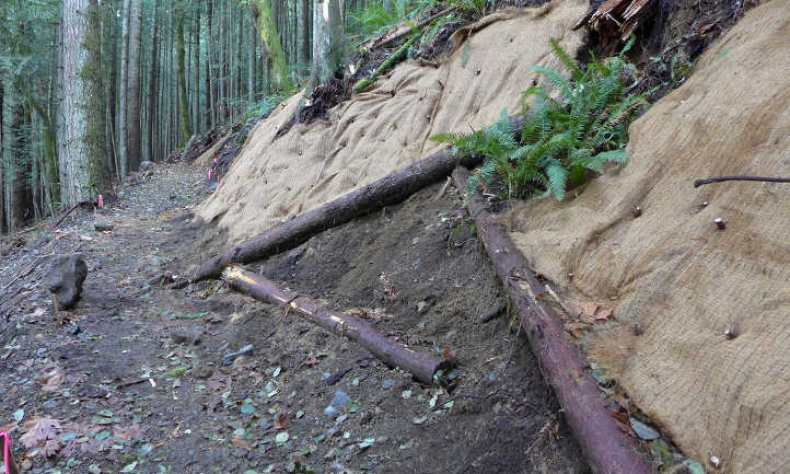 Coconut coir mat as mulch