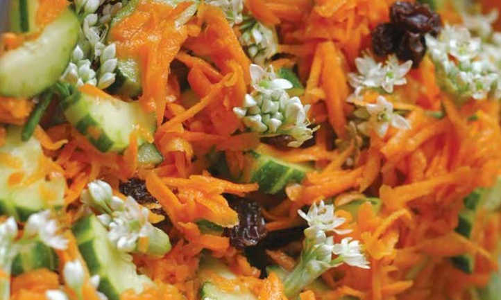 Lacto fermenting vegetables