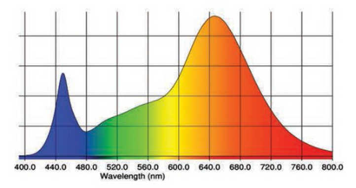 SolarXtreme 1000 Full Spectrum