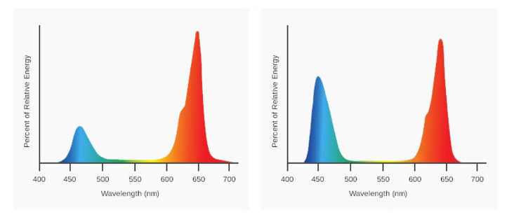 SolarSystem 275 Full Spectrum