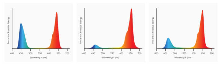 SolarSystem 1100 UVB Full Spectrum