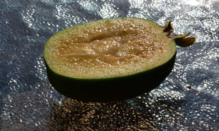 Fruit cut in half