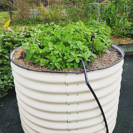 Tall round raised bed