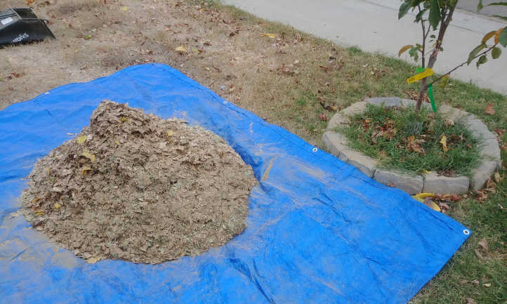 Mulched leaves on a tarp