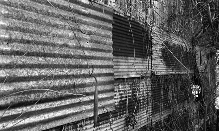 Galvanized steel as building siding