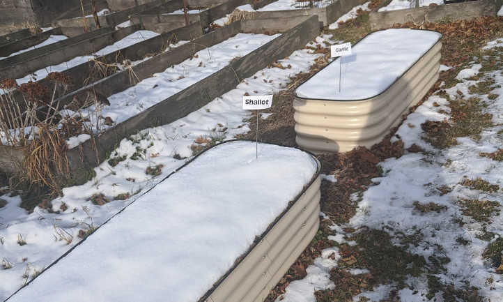 Galvanized steel raised beds in winter