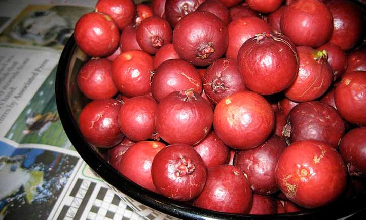 Strawberry guavas fresh and ready to eat