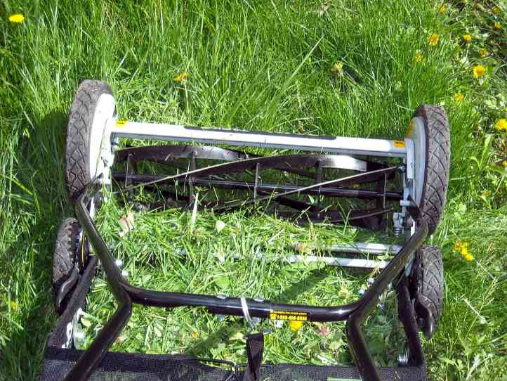 A throwback to older times, reel lawn mowers are efficient and cheap