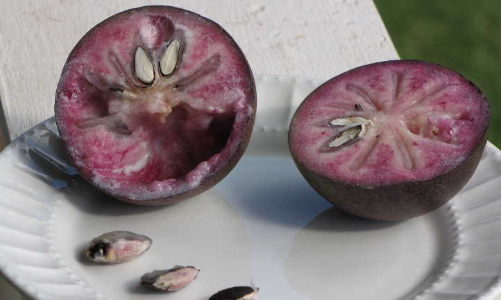 Cut star apple showing interior