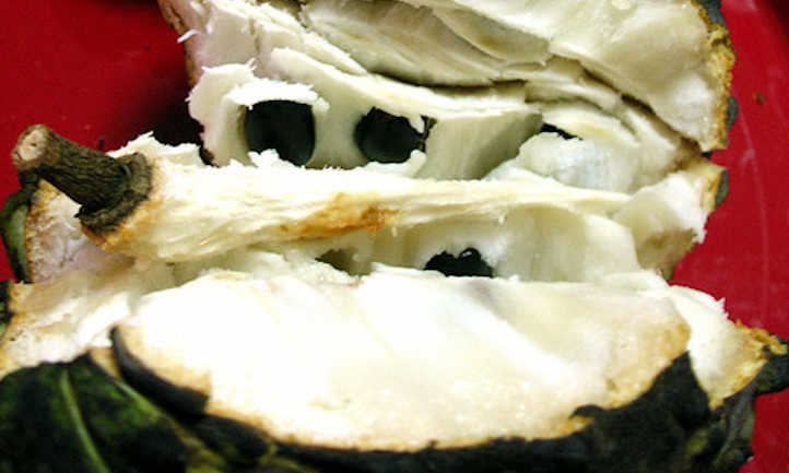 Atemoya fruit