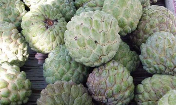 Custard apple
