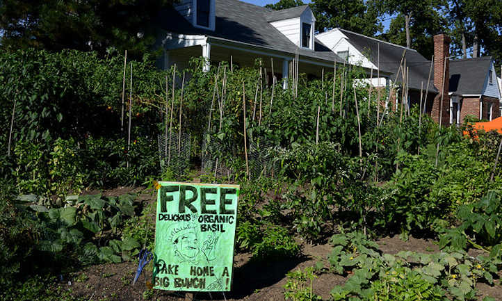 Victory garden