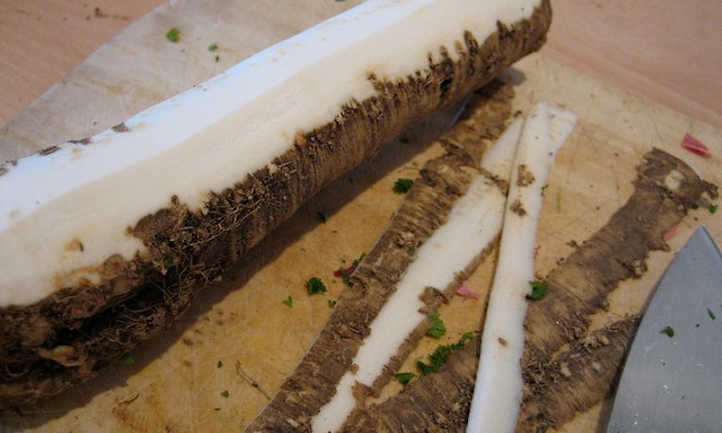 Half peeled horseradish root