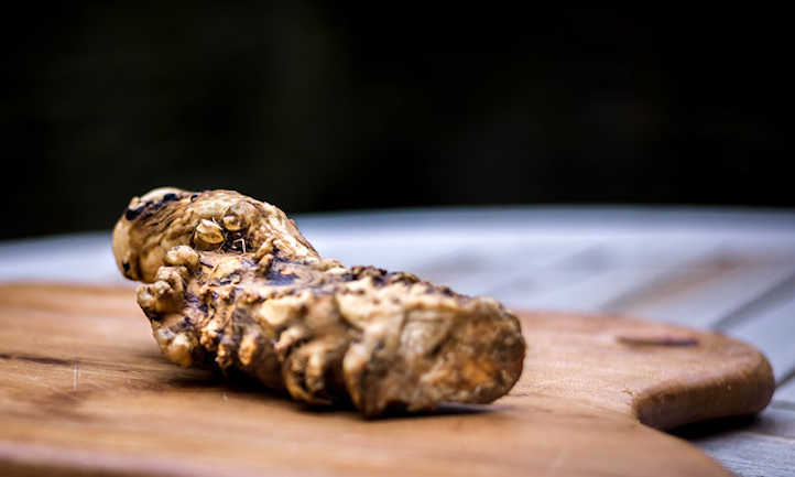 Horseradish plant