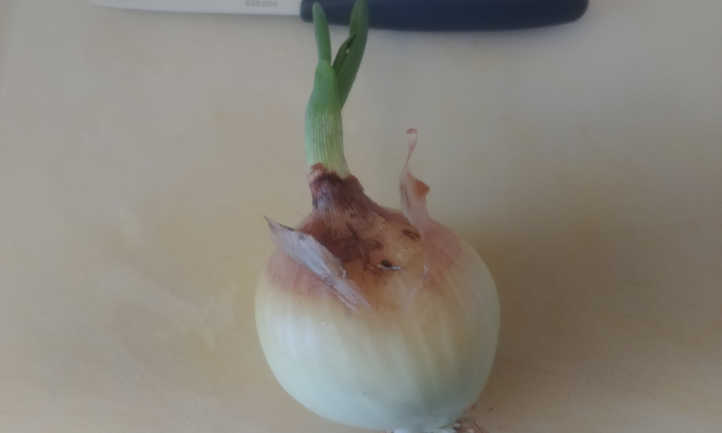 Peeling it down