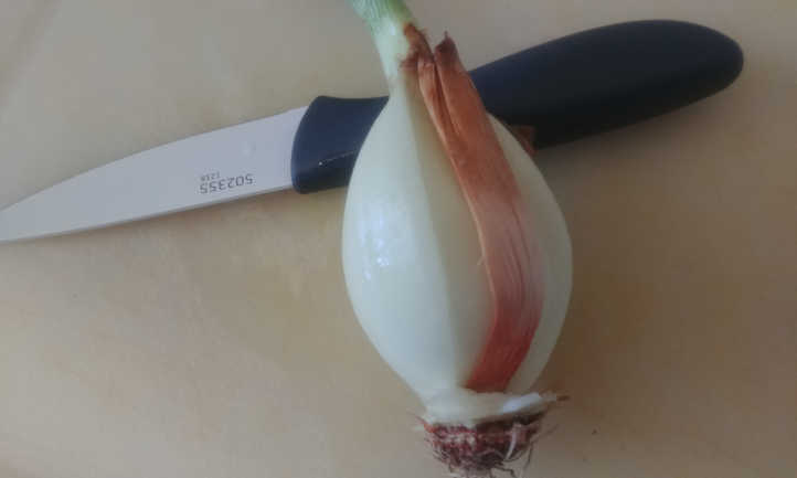 Found original stem