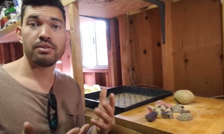 Cut seed potatoes