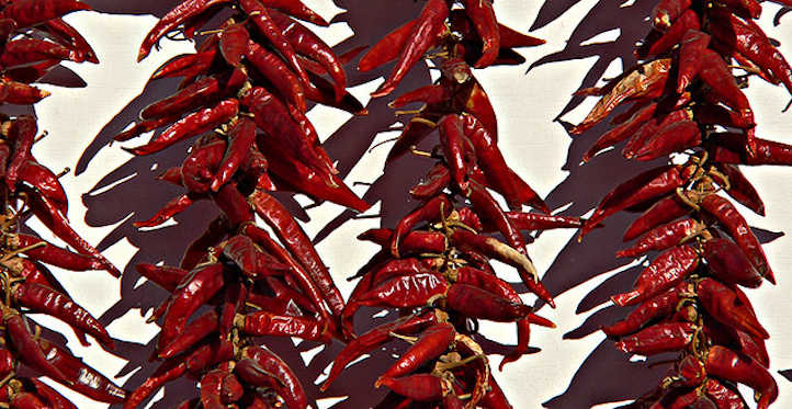 Paprika plant